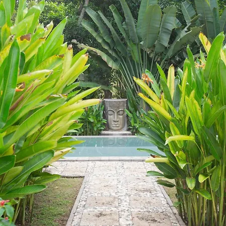 Anima Retreat Bali Apartment Krambitan Room photo