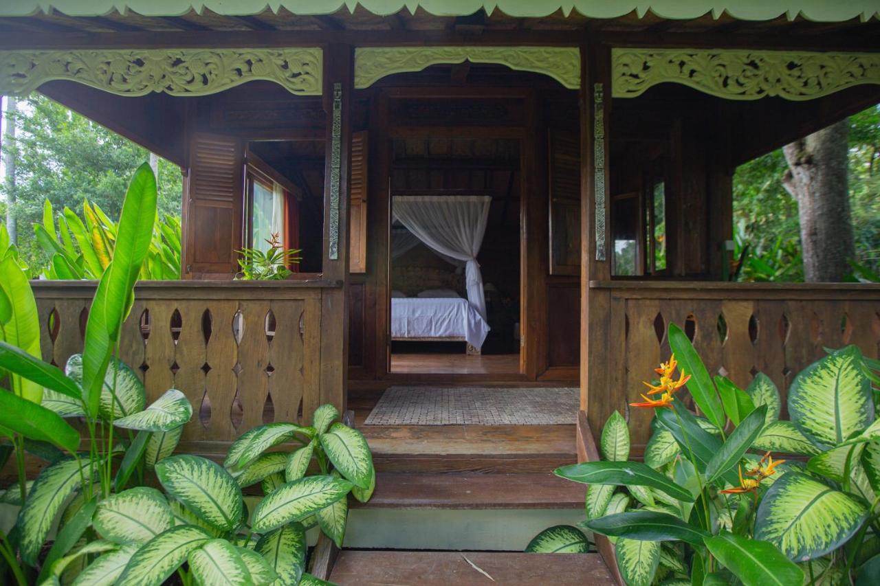 Homestay Anima Retreat Bali Krambitan