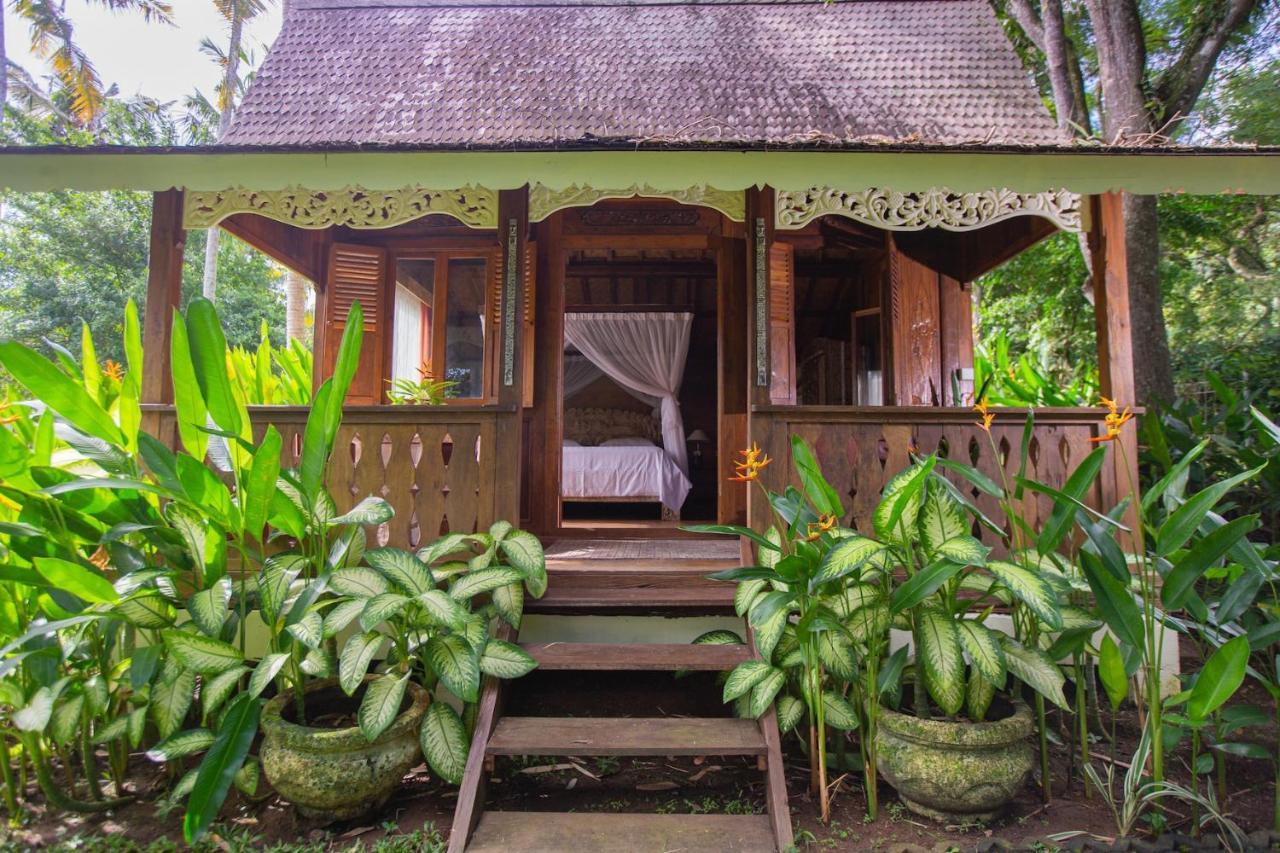 Homestay Anima Retreat Bali