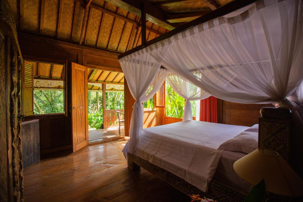 Anima Retreat Bali Homestay *