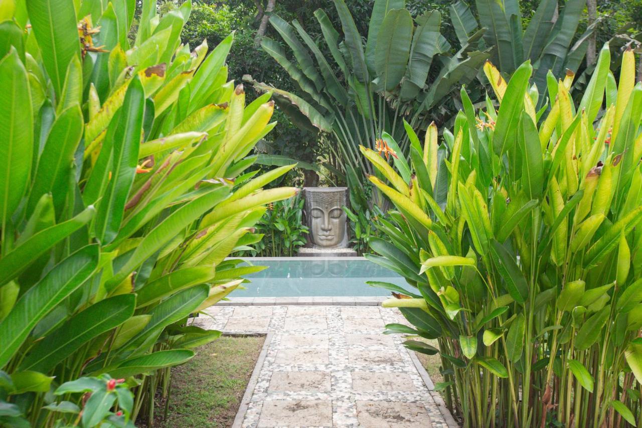 Homestay Anima Retreat Bali